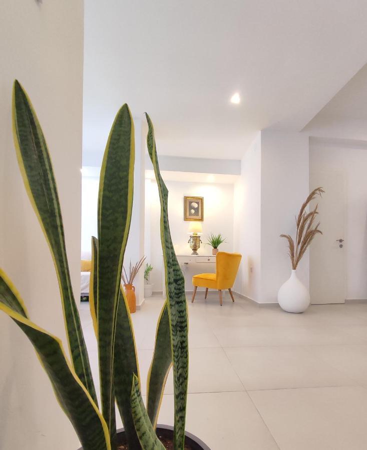 Villa Areti Lefkimmi  Esterno foto